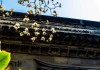 古梅花观，一场跨越时空的求签仪式