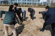 解析梦境中的拍照行为，预兆与启示