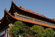 高旻寺求签，解读神秘力量与寄托