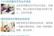 十二星座用什么？这些星座的推荐