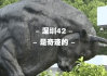 虎猴同运，未来