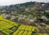 为什么到衡山不能算命？从神算误区看传统文化的智慧