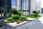自建花池禁忌解析,植物选择与布局之道 自建花池禁忌解析,植物选择与布局之道