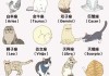 十二星座适合养什么宝宝