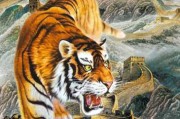猛虎下山，解读能量的流动与平衡