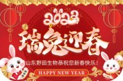 2023年佳日精选，把握良辰吉日，迎接连连