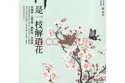 一禅解签，智慧与命运之谜