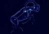 十二星座的浪漫公主身份，从白羊座到摩羯座的优雅蜕变
