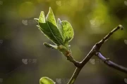 十二星座觉醒，觉醒的瞬间，生命的光芒