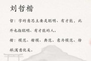 魏刘男孩取名灵感与讲究