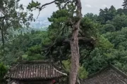 长沙松柏寺求签，探寻古刹的神秘魅力
