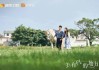 风宅最忌讳什么？