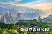 家界哪里求签，了解最佳求签地