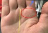 手纹看相，解读吉凶图表的奥秘