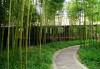 竹园山开业大吉，时间与庆典全解析