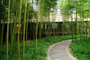 竹园山开业大吉，时间与庆典全解析