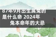 87算命什么时候有孩子，算命孩子时间的科学与艺术