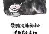 十二星座听什么能睡着觉