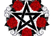 十二星座插花图案寓意，花中，each stars flower language