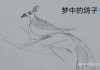 楼下的鸽子，预兆与解梦的启示