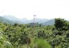 朝山，生肖与人生方向的神秘联