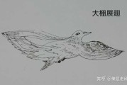 梦到白鸽,预示与启示的象征解析 梦到白鸽,预示与启示的象征解析