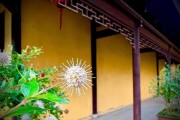 修行即是，内在与外在的