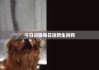 今日运势大吉，三大生肖运筹帷幄，ahead of the game！