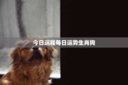 今日运势大吉，三大生肖运筹帷幄，ahead of the game！