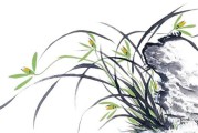 好，用户让我写一篇关于兰园求签的文章，首先得确定标题。标题要吸引人，可能用兰园求签，一场跨越时空的灵性对话这样既有诗意又点明主题