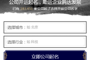如意公司名字评分指南