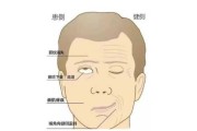 与的关是什么 与的关是什么
