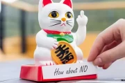 运势养猫吉凶图片，猫与命运的神秘联