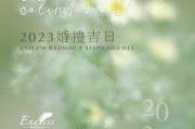 2023年布置婚房吉时，选择吉时的重要性与技巧