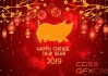 2019年，year of the猪，吉时满满