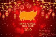 2019年，year of the猪，吉时满满
