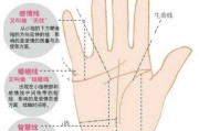 掌纹三条线吉凶，揭秘手掌密的命运之谜