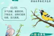 惊蛰时节，天时地利与人和