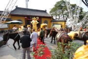 灵顺寺求签95，一场跨越时空的灵性之旅