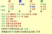 戊子日出生吉时查询全解析