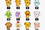 生肖兔运势解析，事业与感情的双重提升