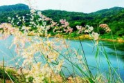 梦到湖水，揭秘梦境中的湖水寓意与解梦奥秘
