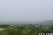 牛年宝宝取名胥姓的讲究与建议