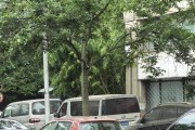 好，用户让我写一篇关于车子放屋顶是什么讲究的文章，先写标题，再写内容，内容不少于936个字。首先，我需要理解用户的需求。他们可能对感兴趣，或者在考虑车辆摆放，想了解是否有讲究