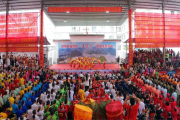 八号，一个的日子