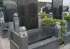 墓前种松柏好，原因解析及布局建议