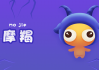 十二星座手杖，神秘而又浪漫的象征