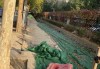 回龙铺求签，一段跨越的民间智慧
