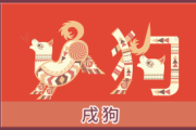 2022年生肖狗运势，狗年运程全解析