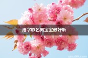 为男宝宝取名李浩，寓意深远，彰显大气磅礴之美